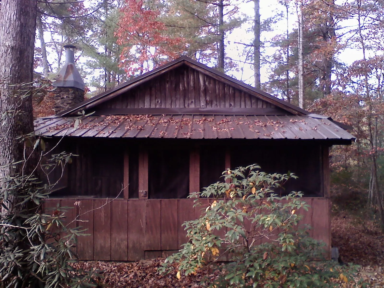 Metal roof over the screened porch of a rustic cabin in Riverside